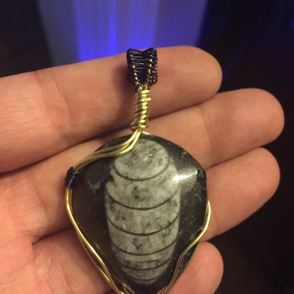 Wire wrapped Fossil rock.